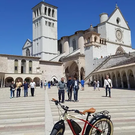 艾莉丝住宿加早餐 住宿加早餐酒店