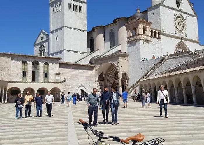艾莉丝住宿加早餐 住宿加早餐酒店